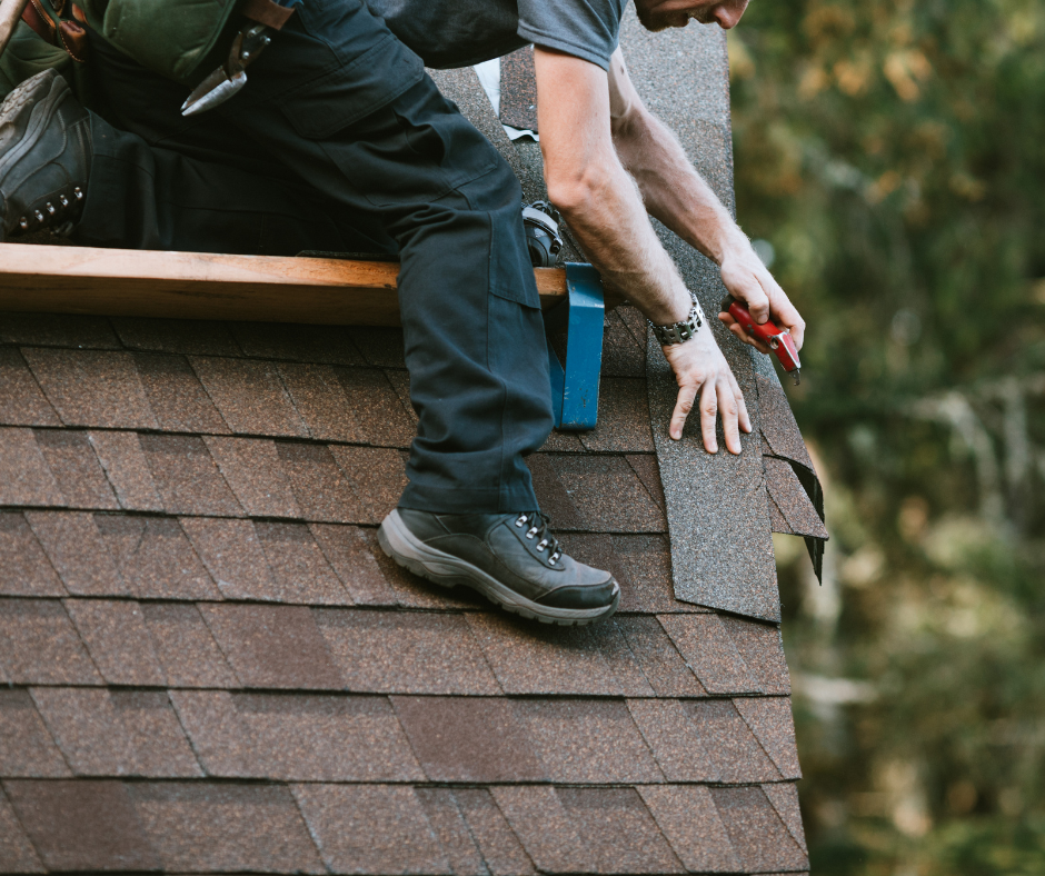 Roofer Contractor